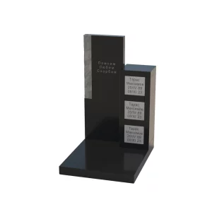 Комплекс МК-004 гб/мр - фото