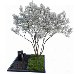 Комплекс МК-018 - фото