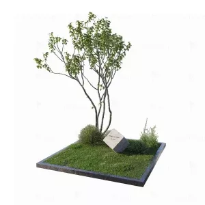 Комплекс МК-015 - фото